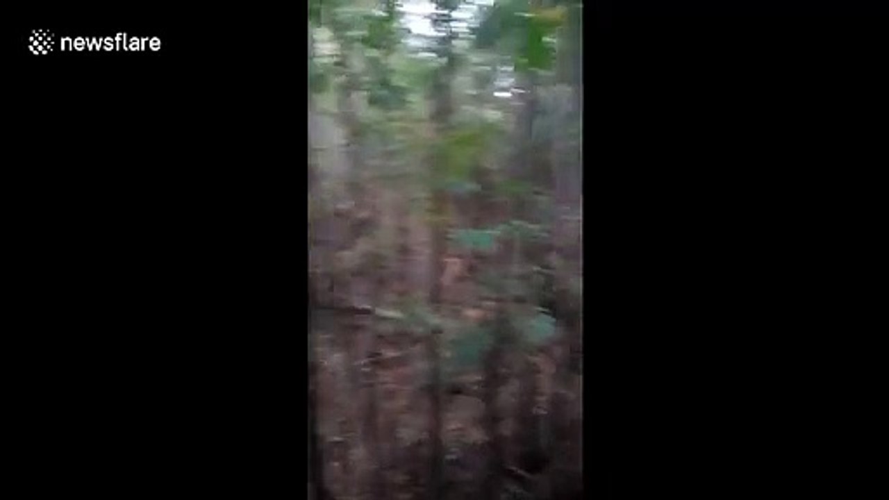 'Abandoned' baby boy found in park in north Pakistan prompts plea for information on social media