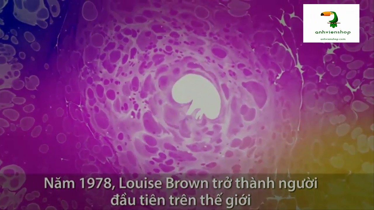 Quá trình thụ tinh trong ống nghiệm diễn ra thế nào