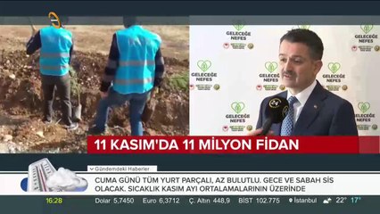 81 ilde 11 milyon fidan toprakla buluşacak