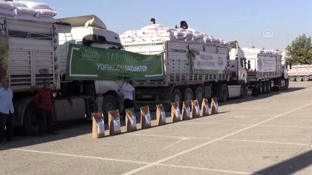 Gaziantep Büyükşehir Belediyesinden 3 bin 40 çiftçiye tohum desteği