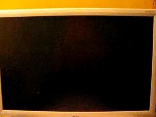 Ecran Acer AL1916 19" en vente sur ebay