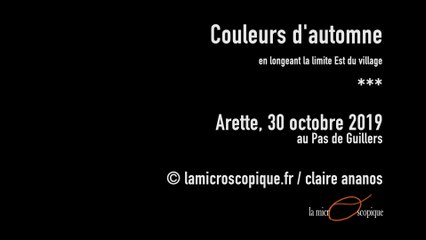 Couleurs d'Automne / en longeant la limite Est du village