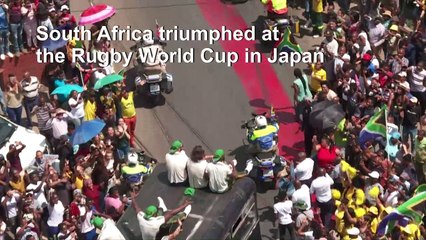 Victorious Springboks receive heroes' welcome in Pretoria