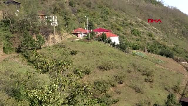 Trabzon'da 30 büyükbaş, çiçek hastalığından öldü