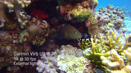 ScubaLab Action Camera Test Highlight Reel