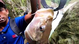 Adventure in the forest - Fishing in a heavy river - а Unique way of catching fish,