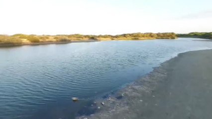 La Albufera de Valencia amenazada por la falta de agua y la contaminación