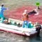 Vídeo viral: Un dron graba el horror de la cacería de delfines en Japón en una bahía totalmente teñida de rojo sangre