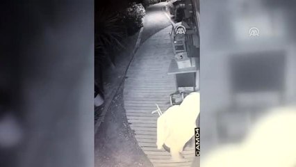 Suçüstü yakalanan hırsızlık zanlısı tutuklandı