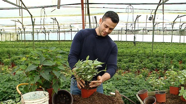 dbb-consejos-navidad-071119