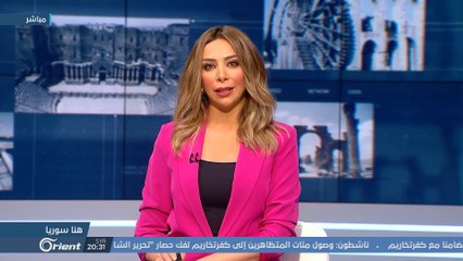 القائمة السوداء: مئة مجرم من ميليشيا أسد الطائفية... فكيف ستكون النهاية؟