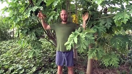 El hombre que vive sólo de lo que le da la naturaleza... en una ciudad de EEUU