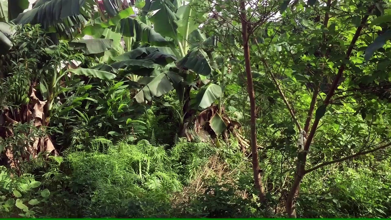 Restoration Toy Car - Ferrari 488 old Rust model