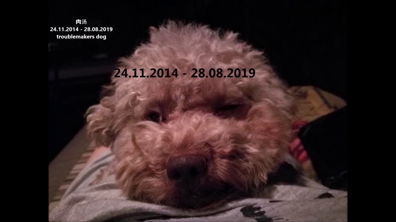 China #Vlog52 killed by a useless Chinese