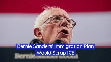 Bernie Sanders' Plan For ICE
