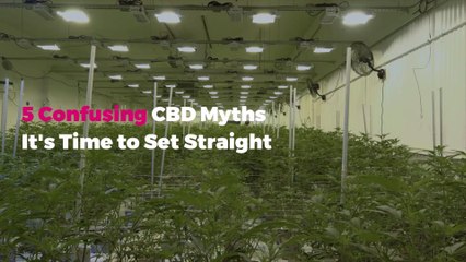 5 Confusing CBD Myths It’s Time to Set Straight