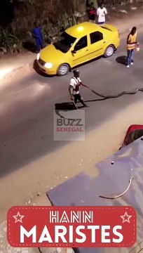 Maristes : Un énorme serpent surgit du lac