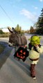 Kid Dressed As Famous Animated Character Walks With Donkey