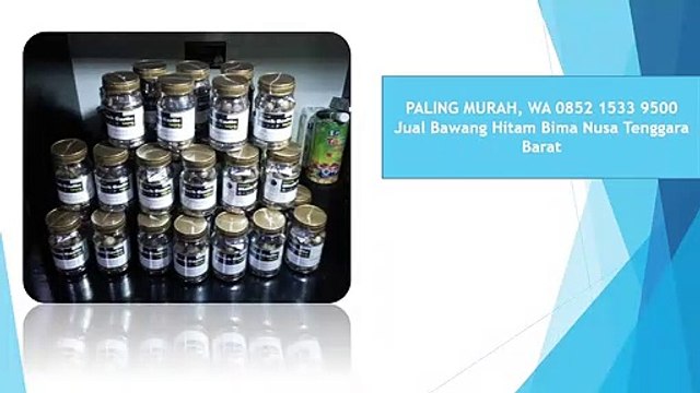 PALING MURAH, WA 0852 1533 9500 Jual Bawang Hitam Bima Nusa Tenggara Barat