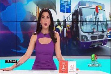 ¿En qué condiciones operan los buses de los corredores complementarios?