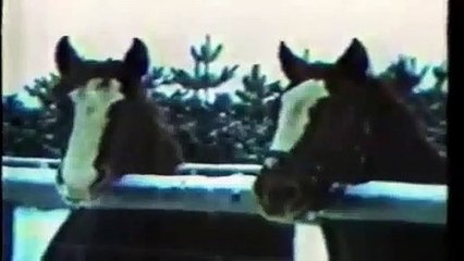 CBS Bangor 5 (WABI) December 1986