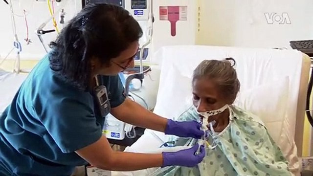 Therapy Dogs Help Patients In Hospital Intensive Care Unit