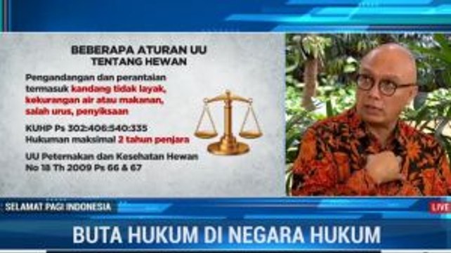 Jerat Hukum Pelaku Penganiayaan Hewan