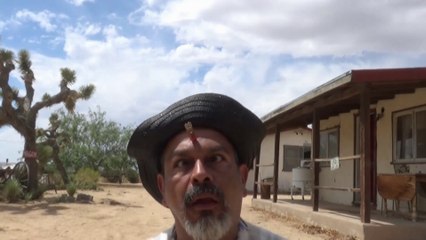 Western Cowboys battle