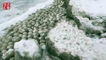 Marjaniemi sahilini buz kütleleri kapladı