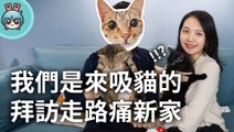 我們是來吸貓的 拜訪走路痛新家！（feat. 走路痛、小黑、拜拜）