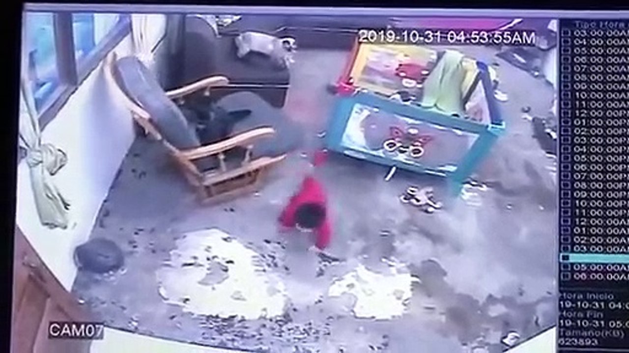 Un chaton sauve un bébé qui allait tomber de l'escalier