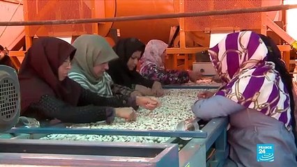 Pistache, tapis traditionnels… le patrimoine iranien menacé par les sanctions américaines