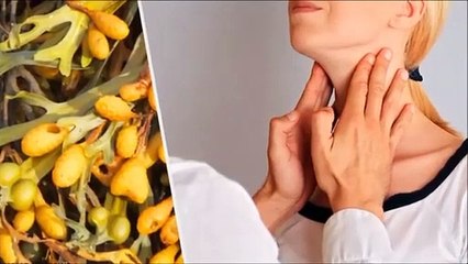 ¿Sabías que el alga Fucus te ayuda a regular la cantidad de grasas en tu organismo, entre otros beneficios?