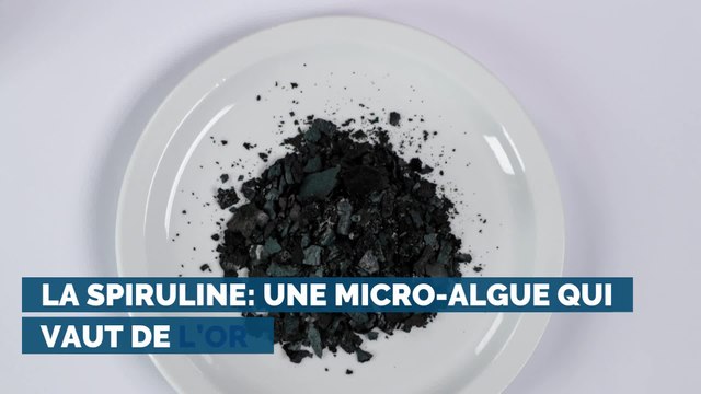 La spiruline: une micro-algue qui vaut de l’or