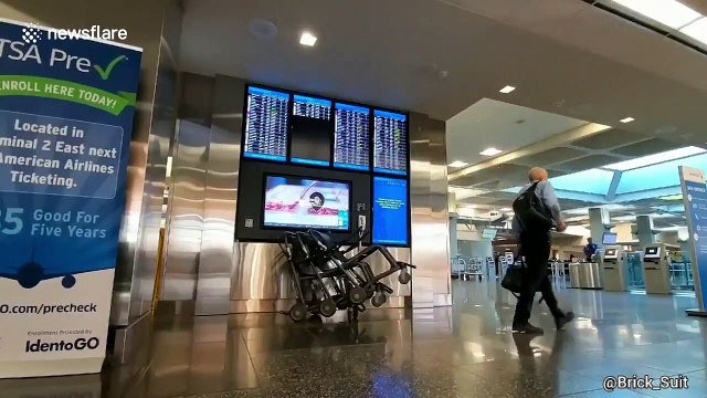 San Diego airport displays message 'paging Epstein Coverup' amid recent controversy