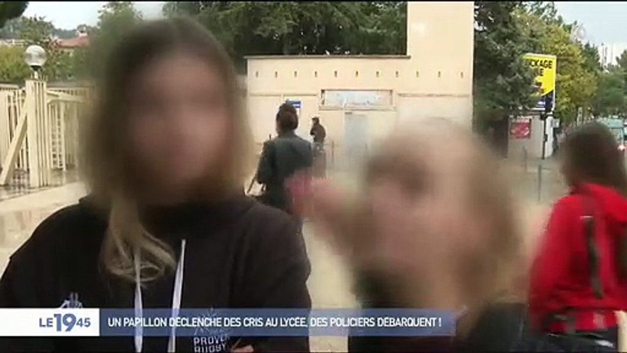 Quand un bourdon provoque une alerte attentat d...