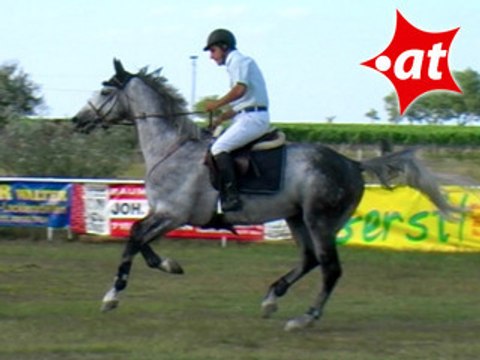 Peredi Szabolcs, Springreiten, Burgenland (2007-035)