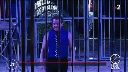 Paris : les animaux sauvages bientôt interdits dans les cirques ?