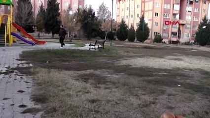 Tokat parkta buldu, 'göktaşı' olduğunu iddia etti