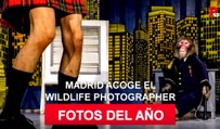 Wildlife Photographer of the Year regresa a Madrid