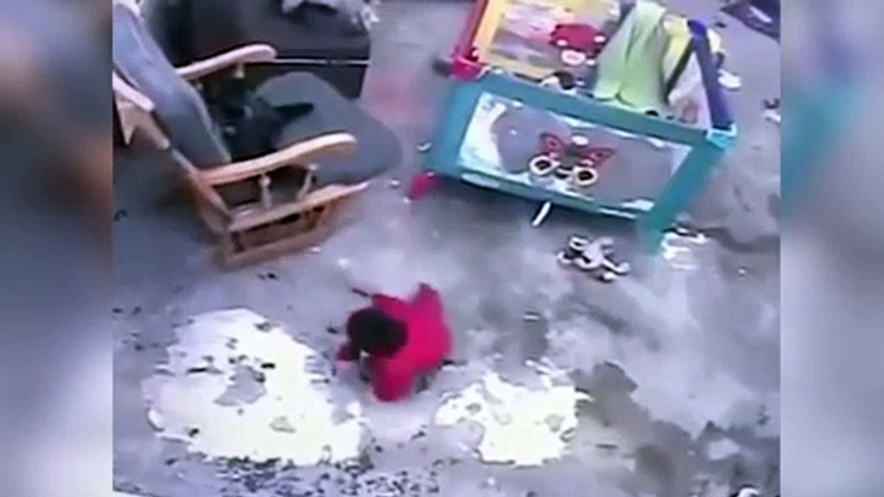 Gato salva a bebé en una increíble maniobra