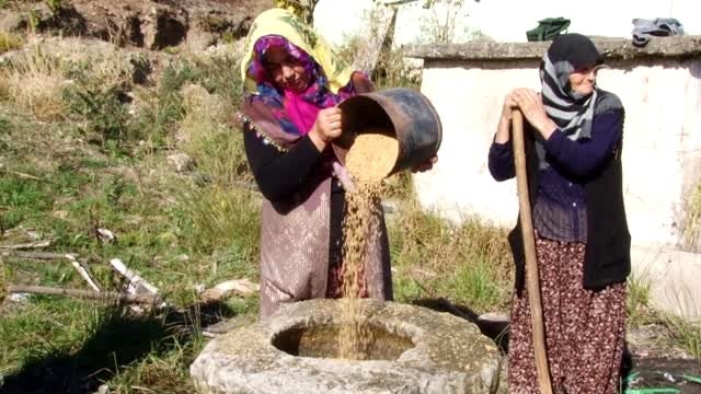 Buğday dövme geleneği yaşatılıyor