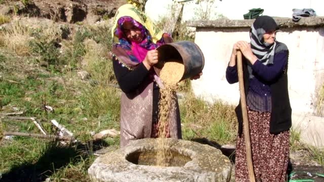 Buğday dövme geleneği yaşatılıyor