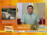 Ika-8 libro ng 'Harry Potter', nakatakdang ilabas sa Hulyo