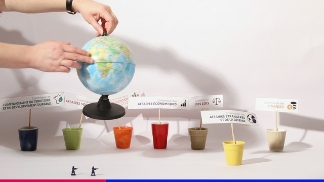 [J'AI UNE QUESTION] Les commissions permanentes du Sénat