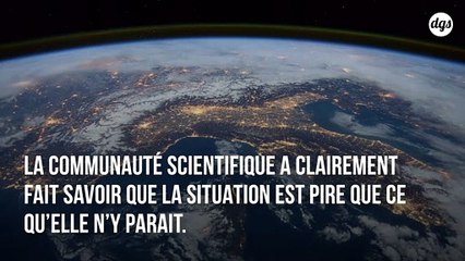 "Plus de 11 000 scientifiques du monde entier déclarent l'état d'urgence climatique        	"