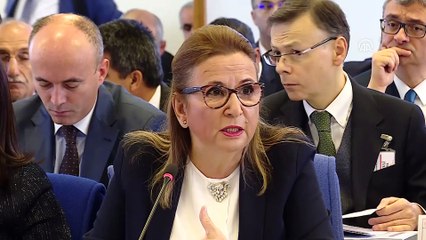 Ticaret Bakanı Pekcan: ''İhracatçılarımıza 3 milyar 754 milyon lira destek vermeyi öngörüyoruz' - TBMM