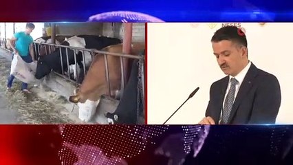 Çiftçilere 284 milyon liralık destek