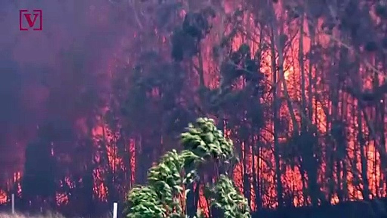 Australia in ‘Uncharted Territory’ Battling Nearly 100 Wildfires in New South Wales