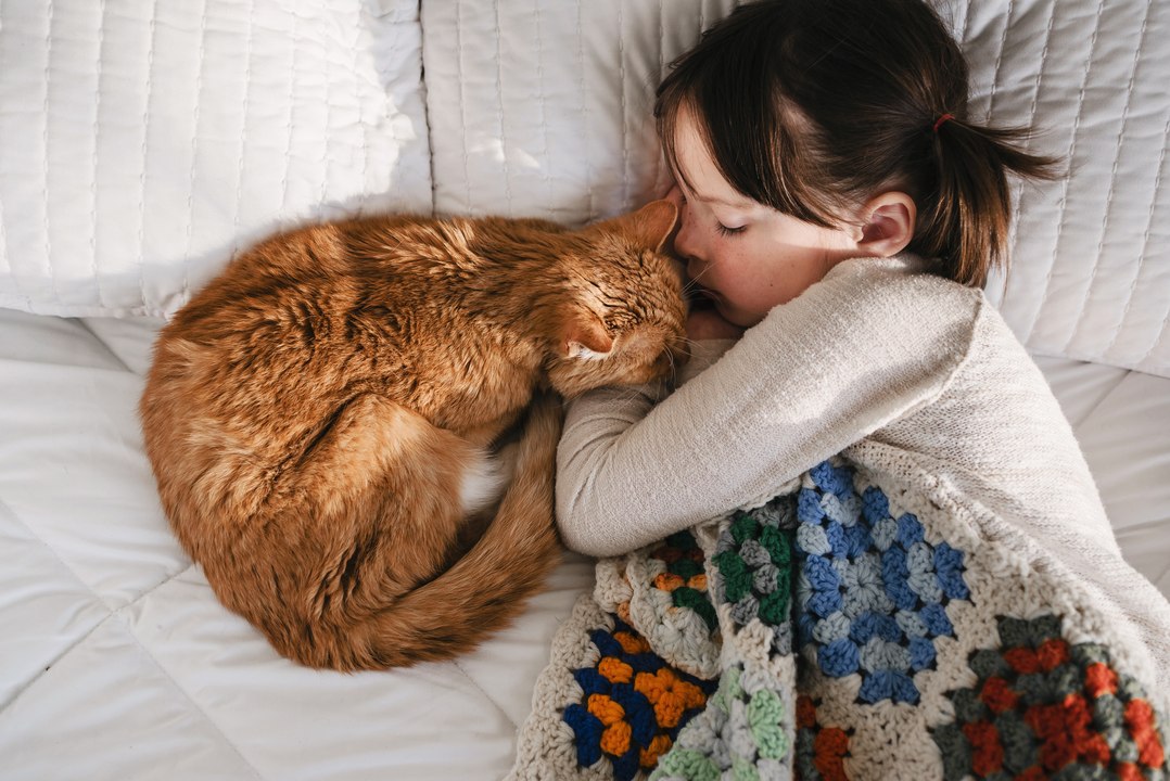 Pourquoi_mon_chat_me_reveille_la_nuit? Vidéo Dailymotion